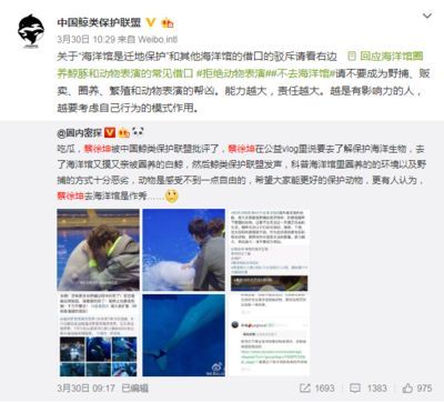 開一個水族館掙錢嗎現(xiàn)在還能開嗎多少錢：開一個水族館是否盈利取決于多個因素取決于多個因素