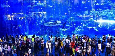 最好的水族館（中國一些頂級水族館）