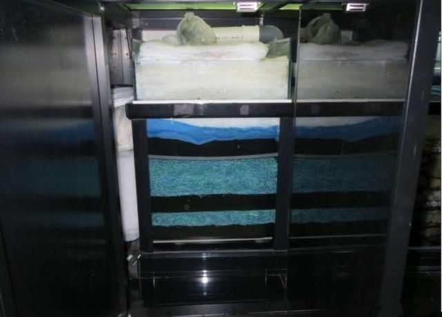 2米魚缸用多少濾材好：2米魚缸濾材配置的注意事項在配置魚缸濾材的注意事項
