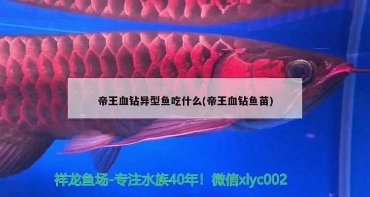 中山龍魚水族科技有限公司怎么樣啊：中山龍魚水族科技有限公司深度解析