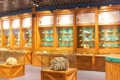 水族館建造費(fèi)用標(biāo)準(zhǔn)表（水族館建造費(fèi)用一般標(biāo)準(zhǔn)）