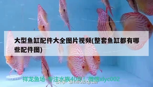 大型魚缸配件大全圖片視頻(整套魚缸都有哪些配件圖)