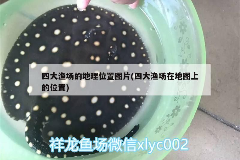 四大漁場的地理位置圖片(四大漁場在地圖上的位置) 四大漁場的地理位置圖片(四大漁場在地圖上的位置) 錦鯉魚百科 第2張