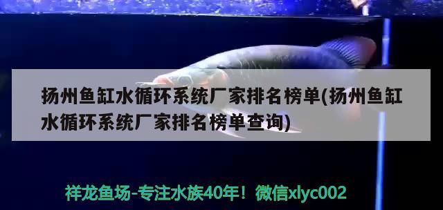 揚州魚缸水循環系統廠家排名榜單(揚州魚缸水循環系統廠家排名榜單查詢)