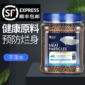 中山龍魚水族科技有限公司電話地址查詢：探尋中山龍魚水族科技有限公司，聯系與魅力