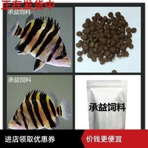 印尼三紋虎飼料品牌推薦，印尼三紋虎飼料品牌推薦印尼三紋虎飼料價格區間查詢