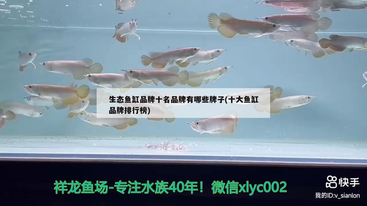 生態魚缸品牌十名品牌有哪些牌子(十大魚缸品牌排行榜) 生態魚缸品牌十名品牌有哪些牌子(十大魚缸品牌排行榜) 錦鯉魚百科 第2張