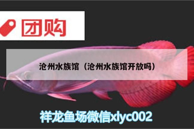滄州水族館（滄州水族館開放嗎） 滄州水族館（滄州水族館開放嗎） 錦鯉魚百科 第3張