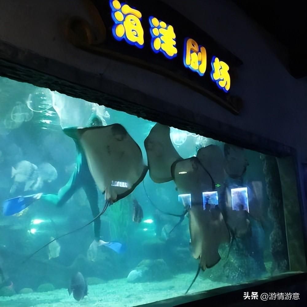開一個水族館多少錢人民幣（開一個水族館的成本可能在10萬至20萬元之間）