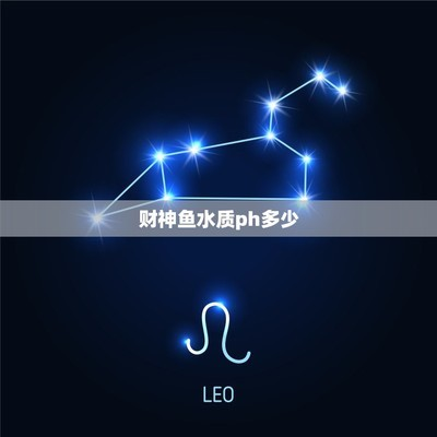 坐北朝南的財位示意圖解析,風水布局提升財運的完整指南,坐北朝南財位風水圖解,精準布局提升財運全攻略 龍魚百科 第3張 坐北朝南的財位示意圖解析,風水布局提升財運的完整指南,坐北朝南財位風水圖解,精準布局提升財運全攻略 坐北朝南的財位示意圖解析,風水布局提升財運的完整指南,坐北朝南財位風水圖解,精準布局提升財運全攻略 龍魚百科 第3張