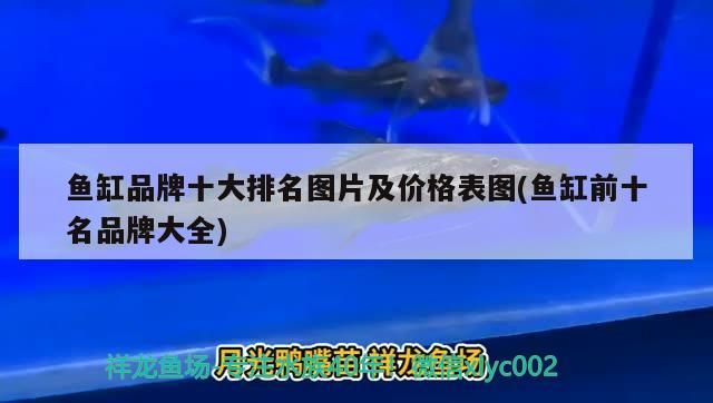 魚缸品牌十大排名圖片及價格表圖(魚缸前十名品牌大全)