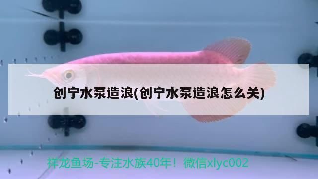 創寧水泵造浪(創寧水泵造浪怎么關)