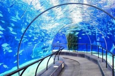 開一家水族館需要些什么證件和材料（開一家水族館需要什么證件和材料） 開一家水族館需要些什么證件和材料（開一家水族館需要什么證件和材料） 水族館百科（水族館加盟） 第3張