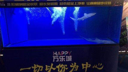 開一家水族館需要些什么證件和材料（開一家水族館需要什么證件和材料） 開一家水族館需要些什么證件和材料（開一家水族館需要什么證件和材料） 水族館百科（水族館加盟） 第5張