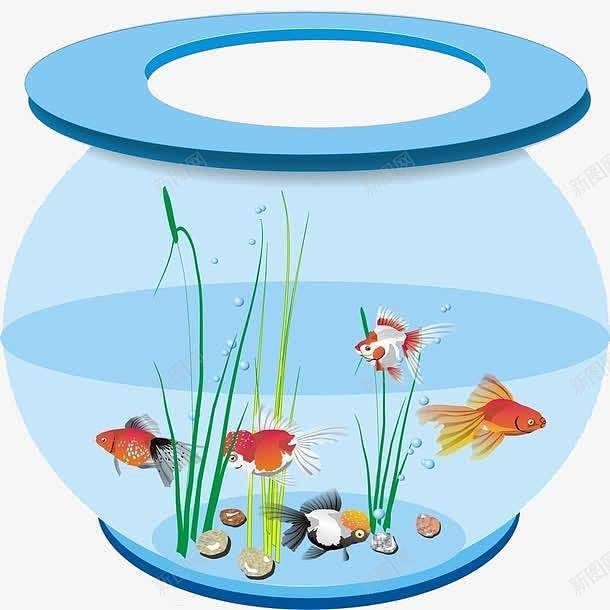 魚缸圖片卡通圖片（卡通魚缸圖片資源） 魚缸圖片卡通圖片（卡通魚缸圖片資源） 魚缸百科 第4張