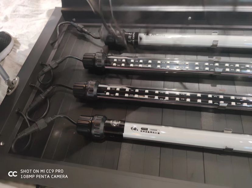 愛龍仕魚缸 愛龍仕魚缸 愛龍仕 第7張