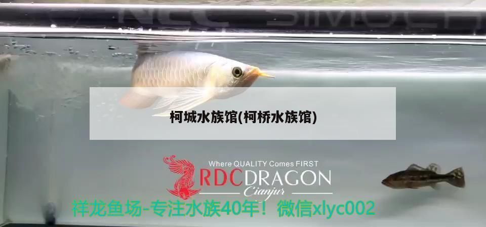 柯城水族館(柯橋水族館) 柯城水族館(柯橋水族館) 觀賞魚百科