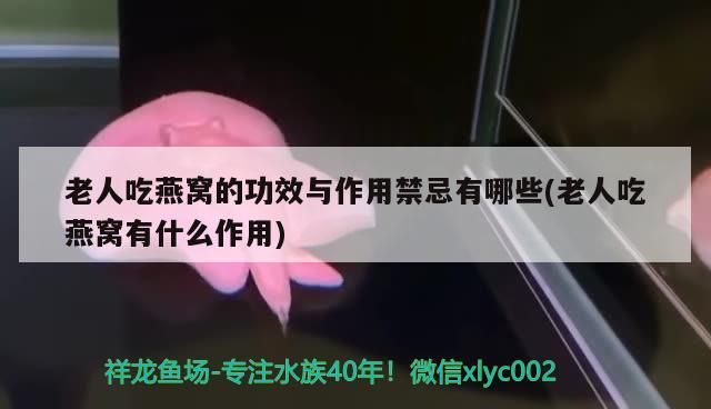 白山觀賞魚店地址電話號碼（白山海鮮店電話號碼）