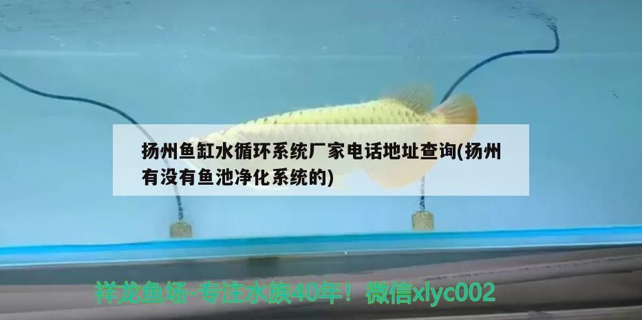 揚州魚缸水循環(huán)系統(tǒng)廠家電話地址查詢(揚州有沒有魚池凈化系統(tǒng)的)