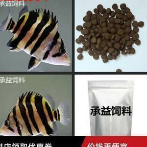 泰國虎魚繁殖用餌料選擇指南，泰國虎魚繁殖用餌料選擇指南,泰國虎魚繁殖環(huán)境優(yōu)化技巧