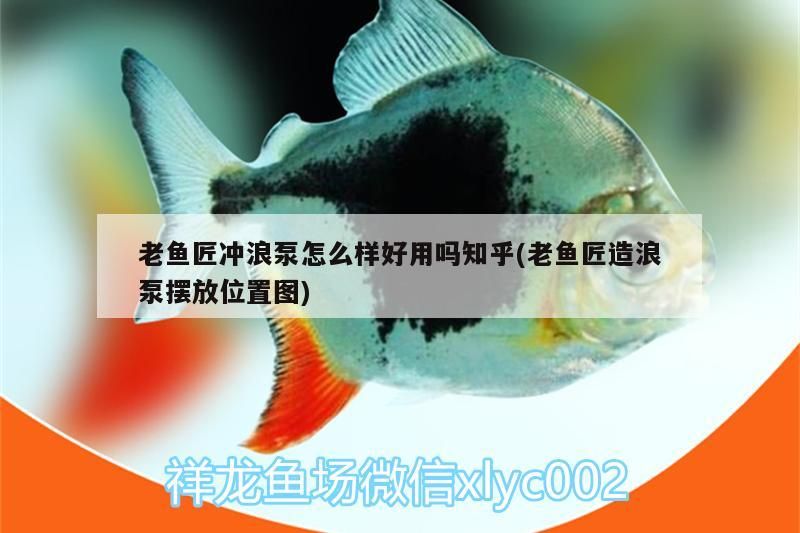 魚缸過濾器選購指南:自制魚缸過濾器魚缸上置過濾器對于養(yǎng)魚愛好者的必備知識 老魚匠沖浪泵怎么樣好用嗎知乎(老魚匠造浪泵擺放位置圖) 老魚匠 老魚匠沖浪泵怎么樣好用嗎知乎(老魚匠造浪泵擺放位置圖) 老魚匠沖浪泵怎么樣好用嗎知乎(老魚匠造浪泵擺放位置圖) 老魚匠