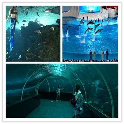 水族館好玩嗎：上海海洋水族館親子活動體驗項目介紹亞特蘭蒂斯水族館