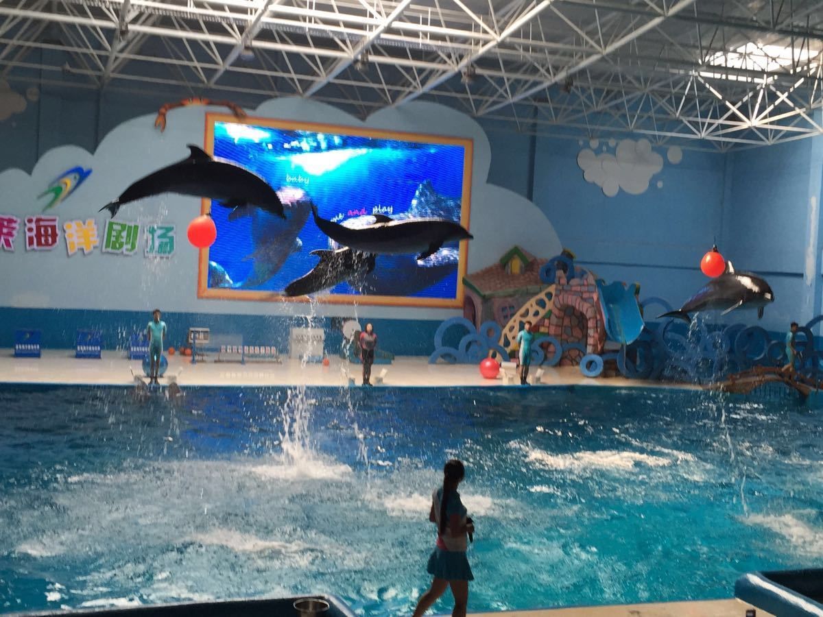 水族館好玩嗎：上海海洋水族館親子活動體驗項目介紹亞特蘭蒂斯水族館