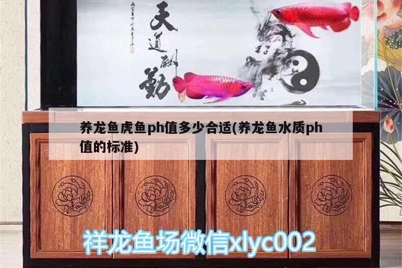 養龍魚虎魚ph值多少合適(養龍魚水質ph值的標準)