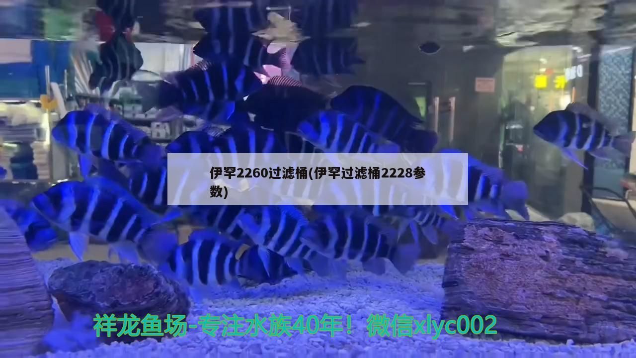 伊罕2260過濾桶(伊罕過濾桶2228參數(shù))