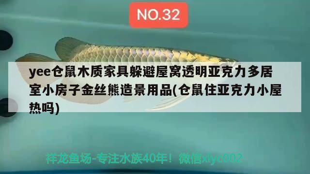 yee倉鼠木質家具躲避屋窩透明亞克力多居室小房子金絲熊造景用品(倉鼠住亞克力小屋熱嗎) yee倉鼠木質家具躲避屋窩透明亞克力多居室小房子金絲熊造景用品(倉鼠住亞克力小屋熱嗎) yee