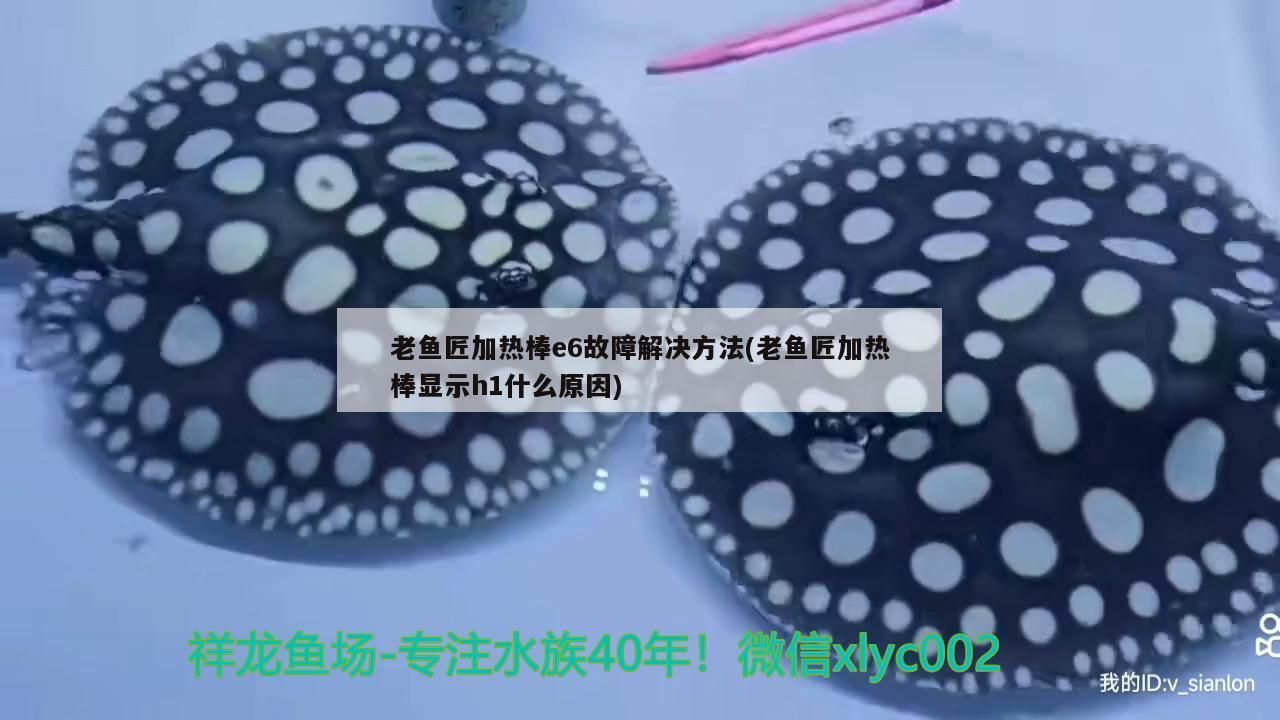 老魚(yú)匠加熱棒e6故障解決方法(老魚(yú)匠加熱棒顯示h1什么原因)