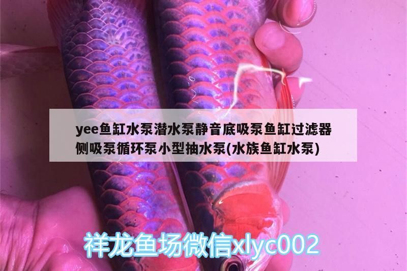 yee魚缸水泵潛水泵靜音底吸泵魚缸過濾器側(cè)吸泵循環(huán)泵小型抽水泵(水族魚缸水泵)