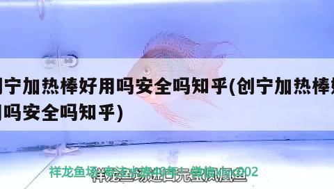 創寧加熱棒好用嗎安全嗎知乎(創寧加熱棒好用嗎安全嗎知乎)