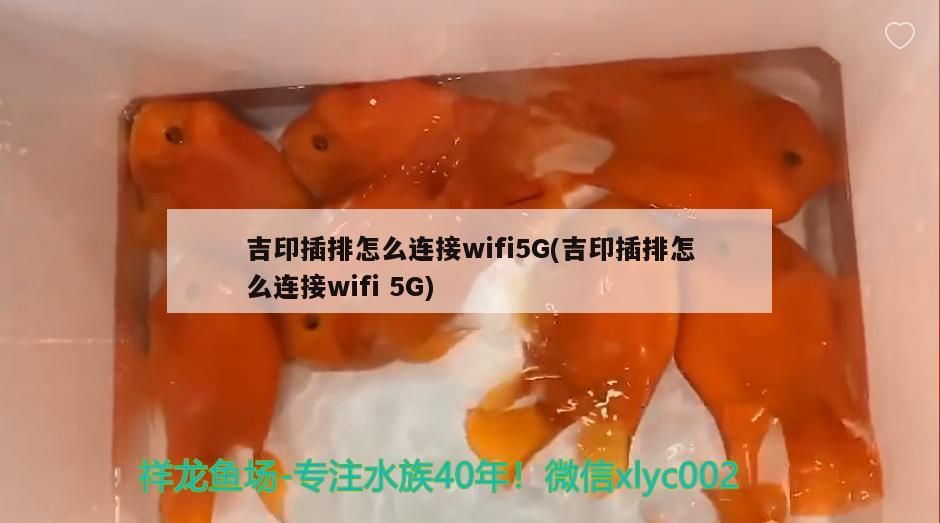 魚缸過濾器選購指南:自制魚缸過濾器魚缸上置過濾器對于養(yǎng)魚愛好者的必備知識 吉印插排怎么連接wifi5G(吉印插排怎么連接wifi5G) 吉印水族 吉印插排怎么連接wifi5G(吉印插排怎么連接wifi5G) 吉印插排怎么連接wifi5G(吉印插排怎么連接wifi5G) 吉印水族