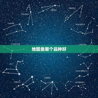 地圖魚品種間色彩差異探究，地圖魚品種間的色彩差異探究地圖魚品種間的色彩差異