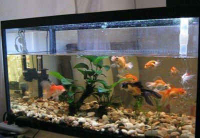 隔斷帶魚缸效果圖，隔斷帶魚缸效果圖片大全，隔斷帶魚缸效果圖