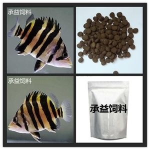 蘇虎魚日常飼料選擇，蘇虎魚的日常飼料選擇