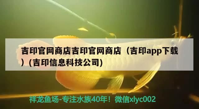 武威魚缸改造廠家地址（ 武威賣魚的店） 武威魚缸改造廠家地址（ 武威賣魚的店） 黃金貓魚百科
