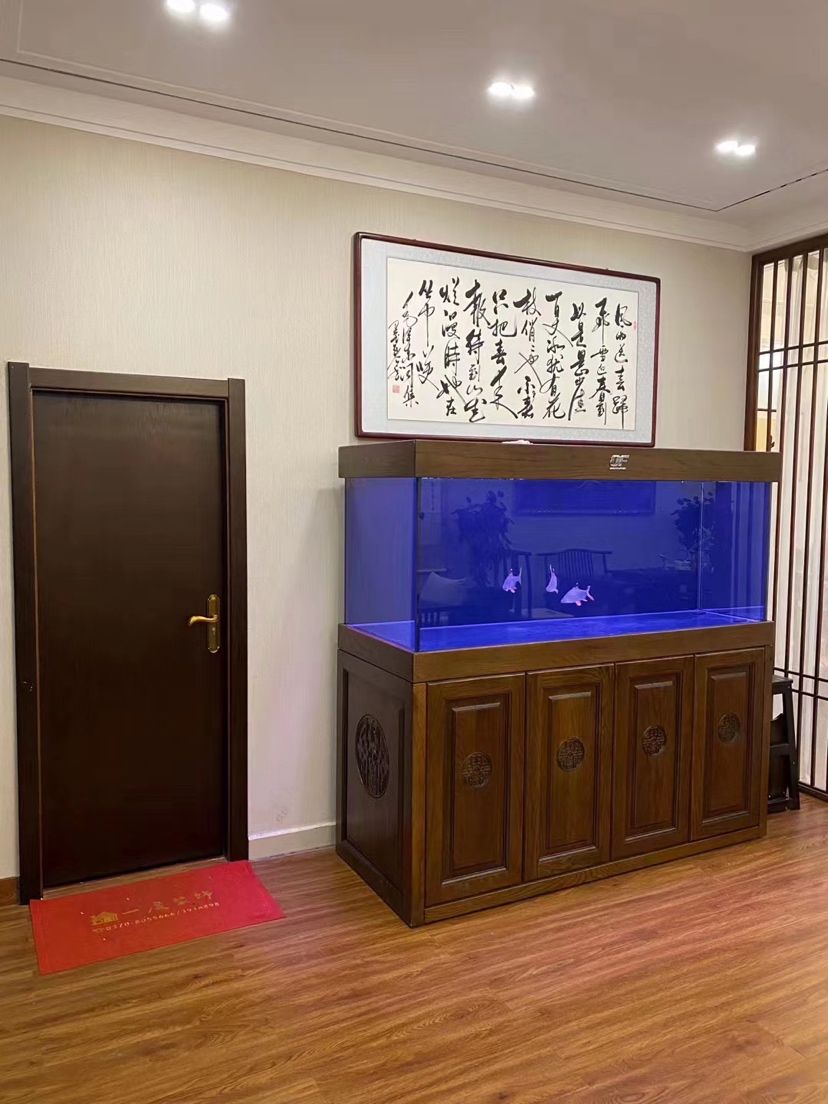仟湖OF聚龍殿M系列 仟湖 第6張 仟湖OF聚龍殿M系列 仟湖OF聚龍殿M系列 仟湖 第6張