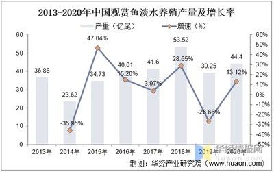觀賞魚的市場(chǎng)需求多大合適（中國觀賞魚行業(yè)發(fā)展動(dòng)態(tài)及投資前景分析） 觀賞魚的市場(chǎng)需求多大合適（中國觀賞魚行業(yè)發(fā)展動(dòng)態(tài)及投資前景分析） 天王紅龍 第1張