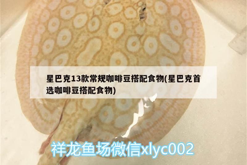 星巴克13款常規咖啡豆搭配食物(星巴克首選咖啡豆搭配食物)