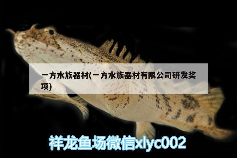 一方水族器材(一方水族器材有限公司研發獎項)
