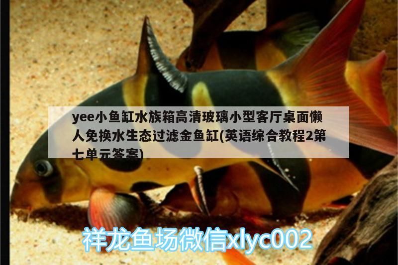 yee小魚缸水族箱高清玻璃小型客廳桌面懶人免換水生態過濾金魚缸(英語綜合教程2第七單元答案)
