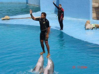 水族館是干什么的什么意思：參觀水族館的環(huán)保意義是什么