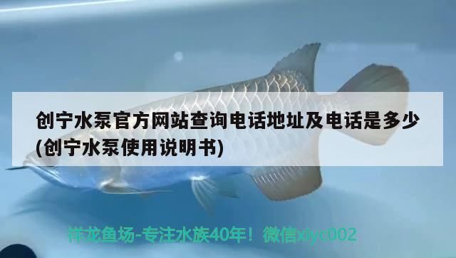 創寧水泵官方網站查詢電話地址及電話是多少(創寧水泵使用說明書) 創寧水泵官方網站查詢電話地址及電話是多少(創寧水泵使用說明書) 創寧水族