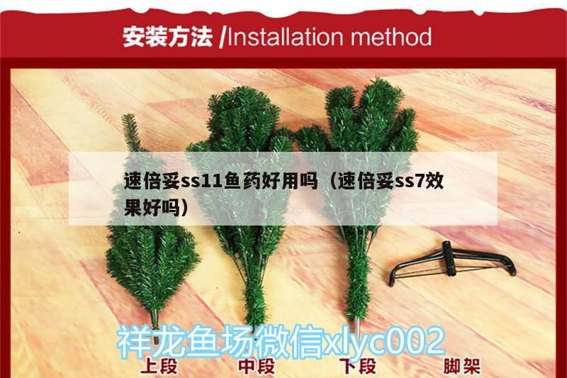 速倍妥ss11魚藥好用嗎（速倍妥ss7效果好嗎）