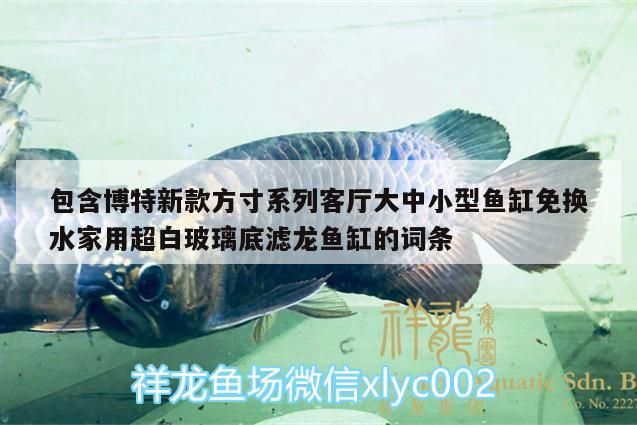 包含博特新款方寸系列客廳大中小型魚缸免換水家用超白玻璃底濾龍魚缸的詞條 包含博特新款方寸系列客廳大中小型魚缸免換水家用超白玻璃底濾龍魚缸的詞條 博特水族