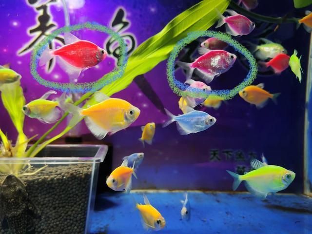 博特水泵壽命多少年更換機油：博特水泵壽命多少年更換機油博特水泵壽命多少年更換機油
