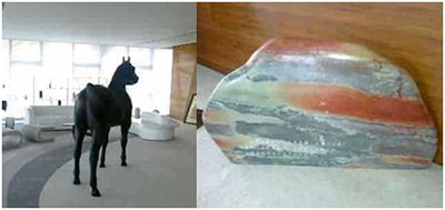 馬印揚色固色有用嗎：馬印揚色固色燈在提升魚類顏色鮮艷度方面具有一定的效果