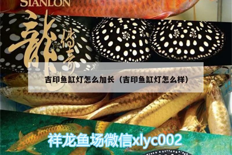 魚缸過濾器選購指南:自制魚缸過濾器魚缸上置過濾器對于養魚愛好者的必備知識 吉印魚缸燈怎么加長(吉印魚缸燈怎么樣) 吉印水族 吉印魚缸燈怎么加長(吉印魚缸燈怎么樣) 吉印魚缸燈怎么加長(吉印魚缸燈怎么樣) 吉印水族